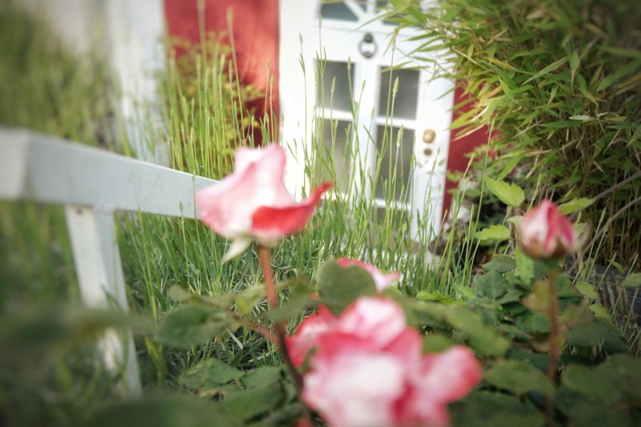 "Gemuetlich" 1-Zimmer Apartment Nah Am Wald 마인츠 외부 사진